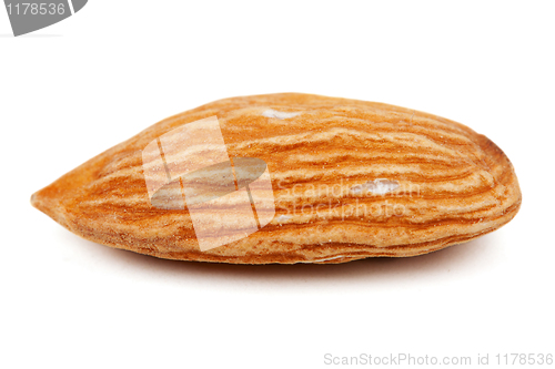 Image of almond