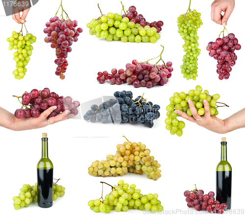 Image of Set of different grapes