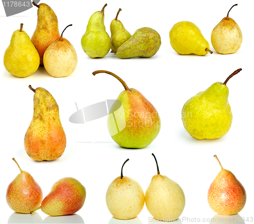 Image of Set of different pears