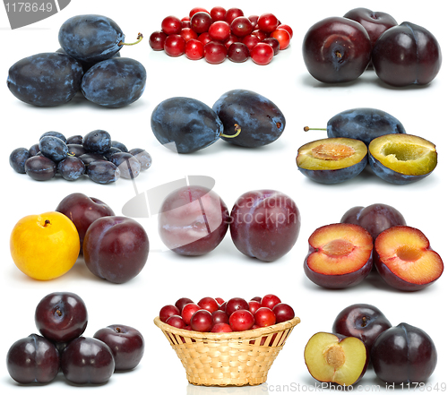 Image of Set of different plums