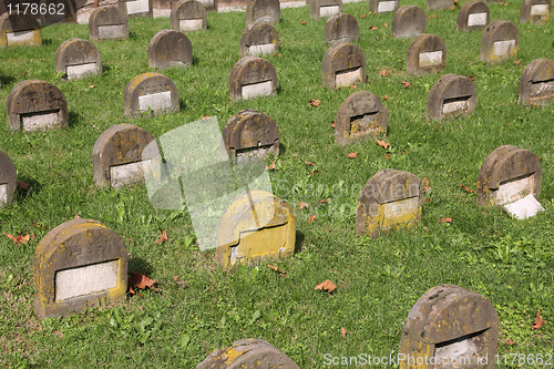 Image of Jewish cemetery