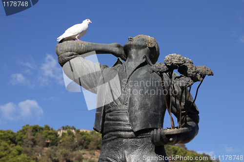 Image of White dove