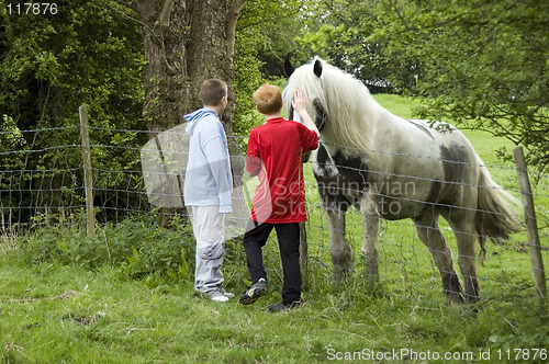 Image of Seeing the Horse