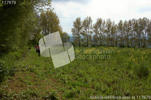 Image of A walk in the country