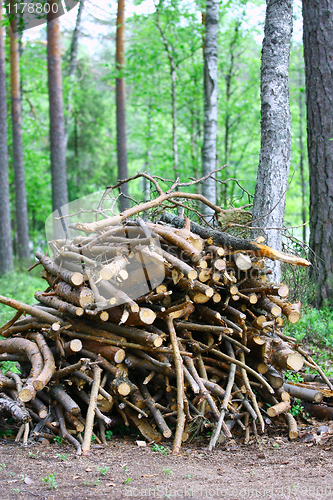 Image of Firewood