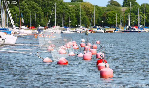 Image of Red Buoys