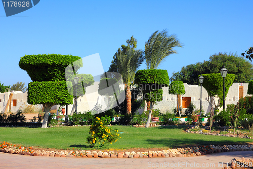 Image of trimmed trees and flowers