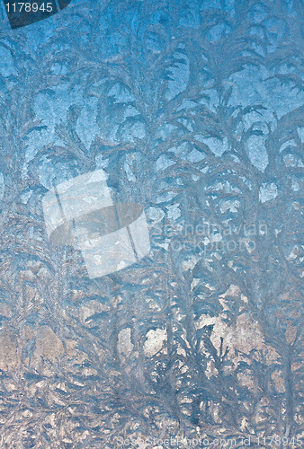 Image of Ice flowers on window glass