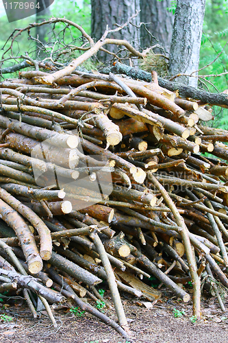 Image of Firewood