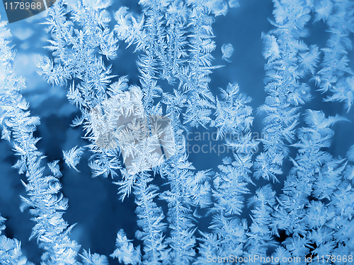 Image of blue frosty natural pattern