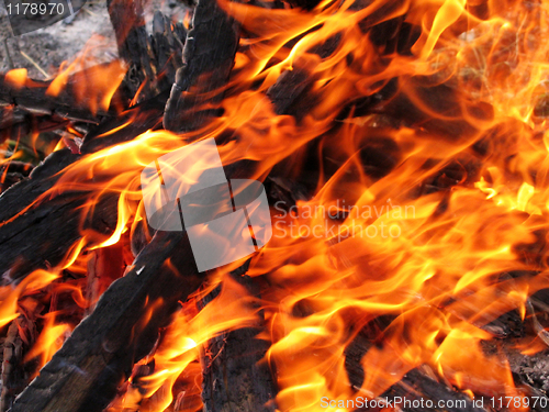 Image of fire texture