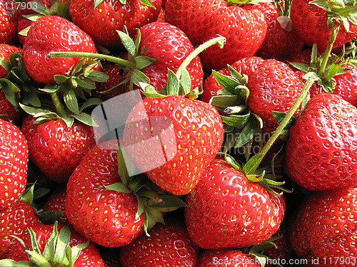 Image of strawberry