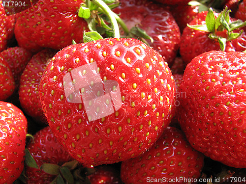 Image of strawberry