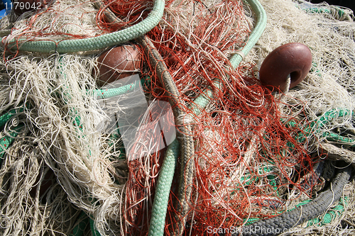 Image of Tangled netfish