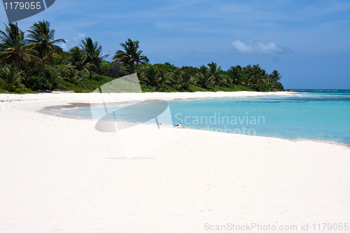 Image of Flamenco Beach Culebra Island Puerto Rican