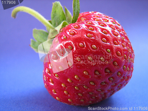 Image of strawberry