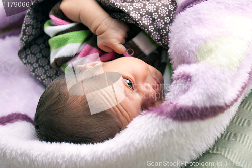 Image of Newborn Baby Girl Waking