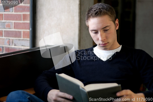 Image of Student Reading at the Library