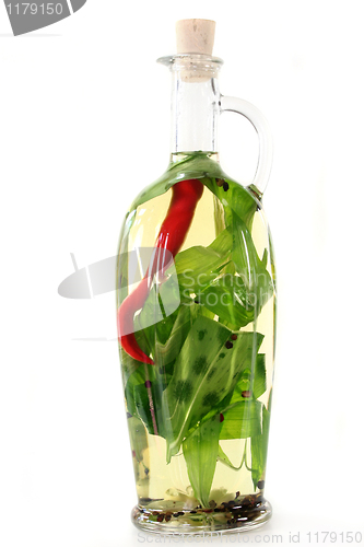 Image of Wild garlic oil