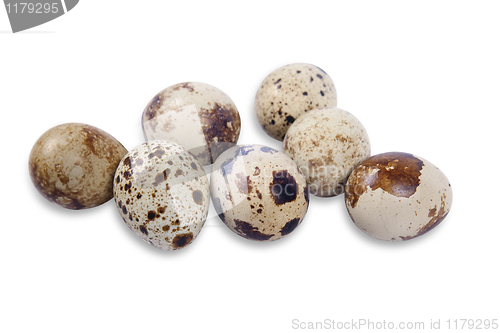 Image of quail eggs