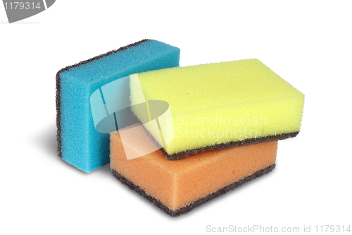 Image of Sponge