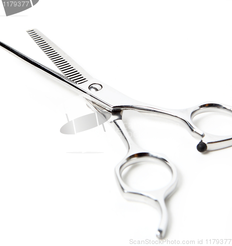 Image of Professional Haircutting Scissors. Studio isolation on white. 