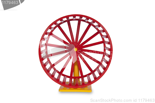 Image of Wheel for rodents