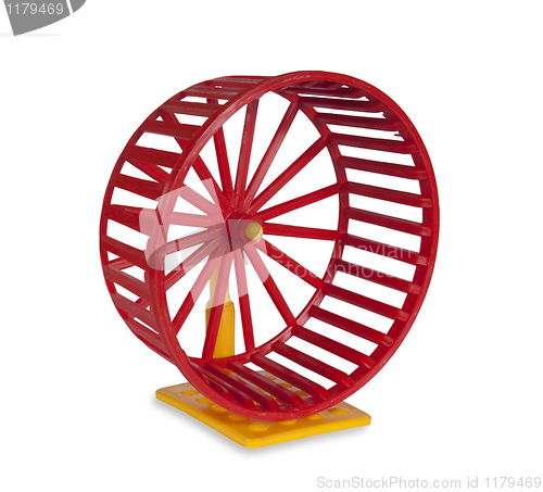 Image of Wheel for rodents