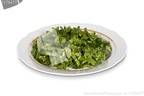 Image of Salad plate