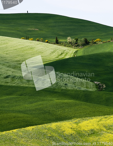 Image of Tuscany