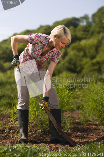 Image of Gardening