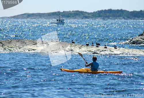 Image of Kayak paddle'r