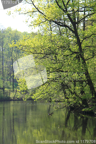 Image of park with lake