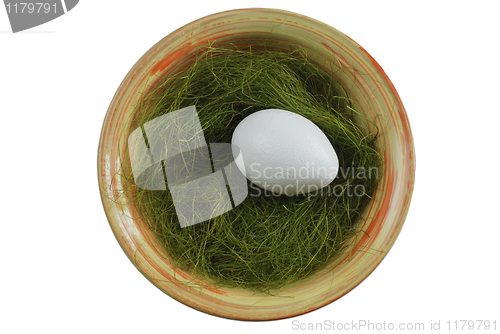 Image of egg in a plate with green grass over white