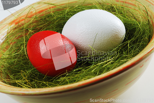 Image of two eggs  in a plate with green grass 