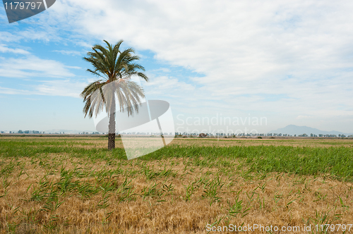 Image of Prairie landscape