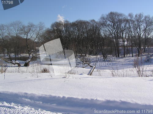 Image of Snowy landscape