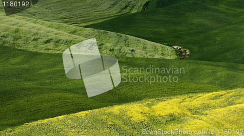 Image of Tuscany