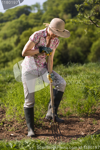 Image of Gardening
