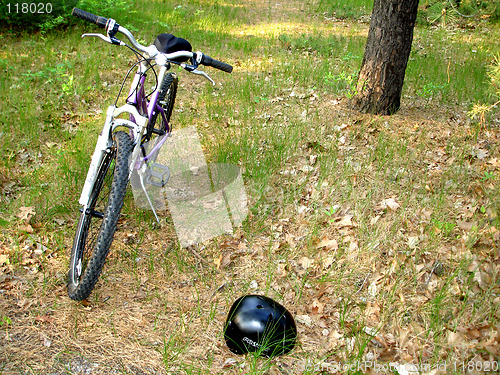 Image of bike