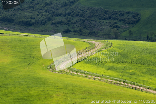 Image of Tuscany