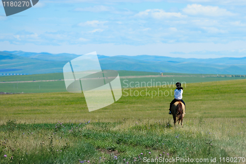 Image of Riding horse in grassland