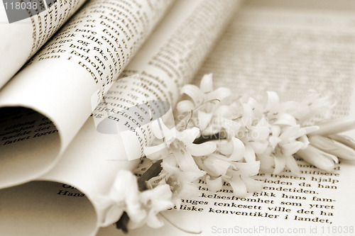 Image of Book And Flower