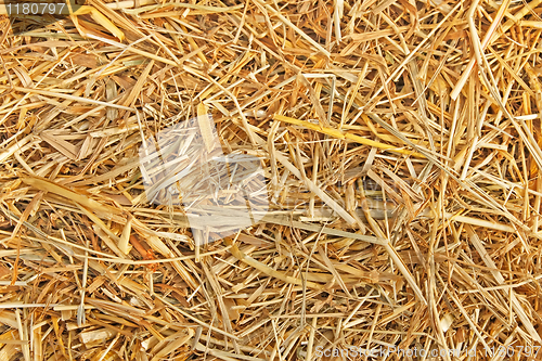 Image of The texture of straw 