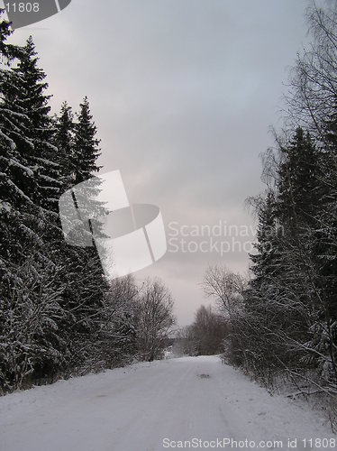 Image of Winter road through the forest