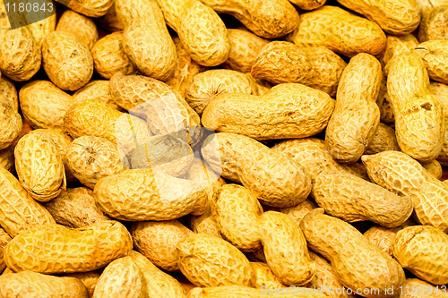 Image of Peanuts pattern