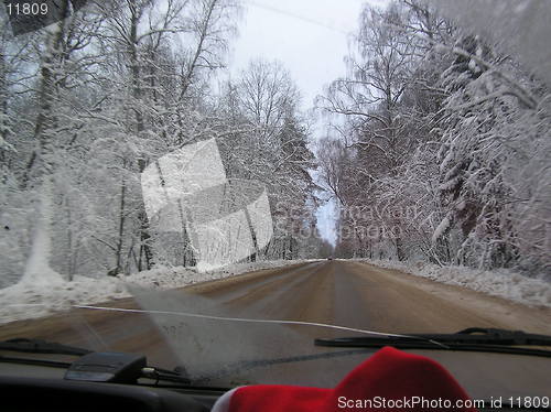 Image of Road with snowy trees (inside-car view)