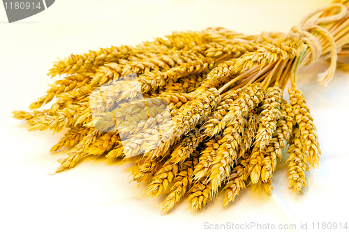 Image of Wheat sheaf