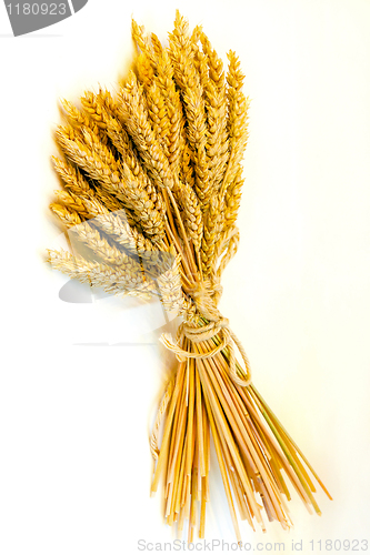 Image of Wheat bundle