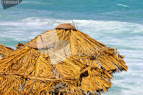 Image of Palm parasol